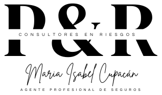 P & R CONSULTORES EN RIESGOS